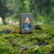 Zippo Mountain Design Lighter