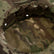 Invader Gear - Mod3 Patruljehatt/Jungelhatt - Multicam