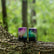 Zippo Colorful Sky Design Lighter