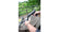 Umarex UX SPA 100 fjærdrevet luftpistol 4.5mm pellet - Game-On.no