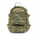 Warrior - Pegasus Taktisk Ryggsekk - Multicam - Game-On.no
