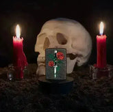 Zippo Lighter - Rose og Dolk Motiv - Game-On.no