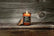 Zippo - Spirit Candle Duftlys - Bourbon & Spice - Game-On.no